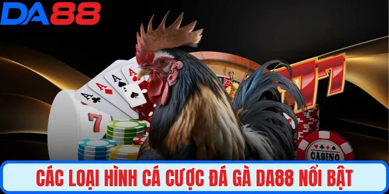 Đa dạng loại hình cá cược đá gà thành viên có thể lựa chọn