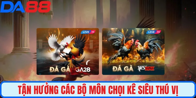 Tận hưởng các bộ môn chọi kê siêu thú vị, bùng nổ