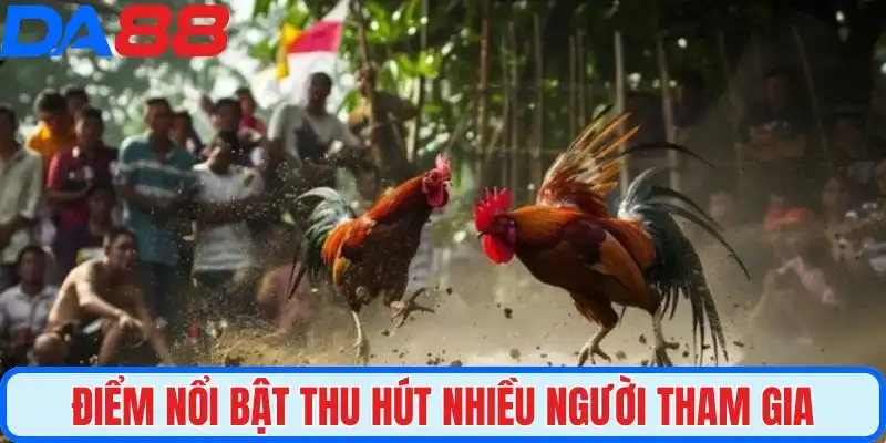 Điểm nổi bật thu hút nhiều người tham gia