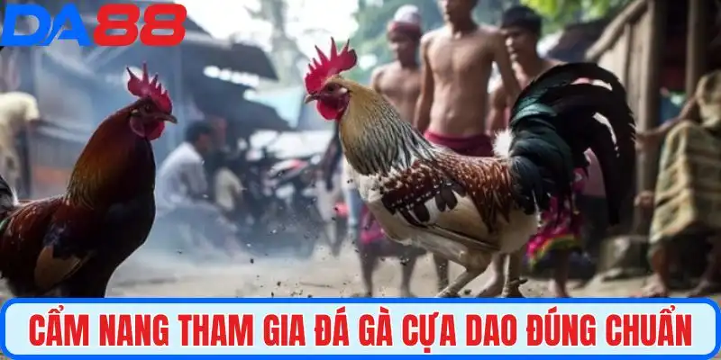 Cẩm nang tham gia đá gà cựa dao đúng chuẩn