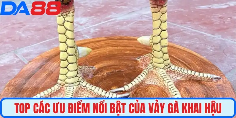 Top các ưu điểm nổi bật của vảy gà khai hậu