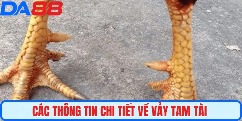 Các thông tin chi tiết về vảy tam tài 
